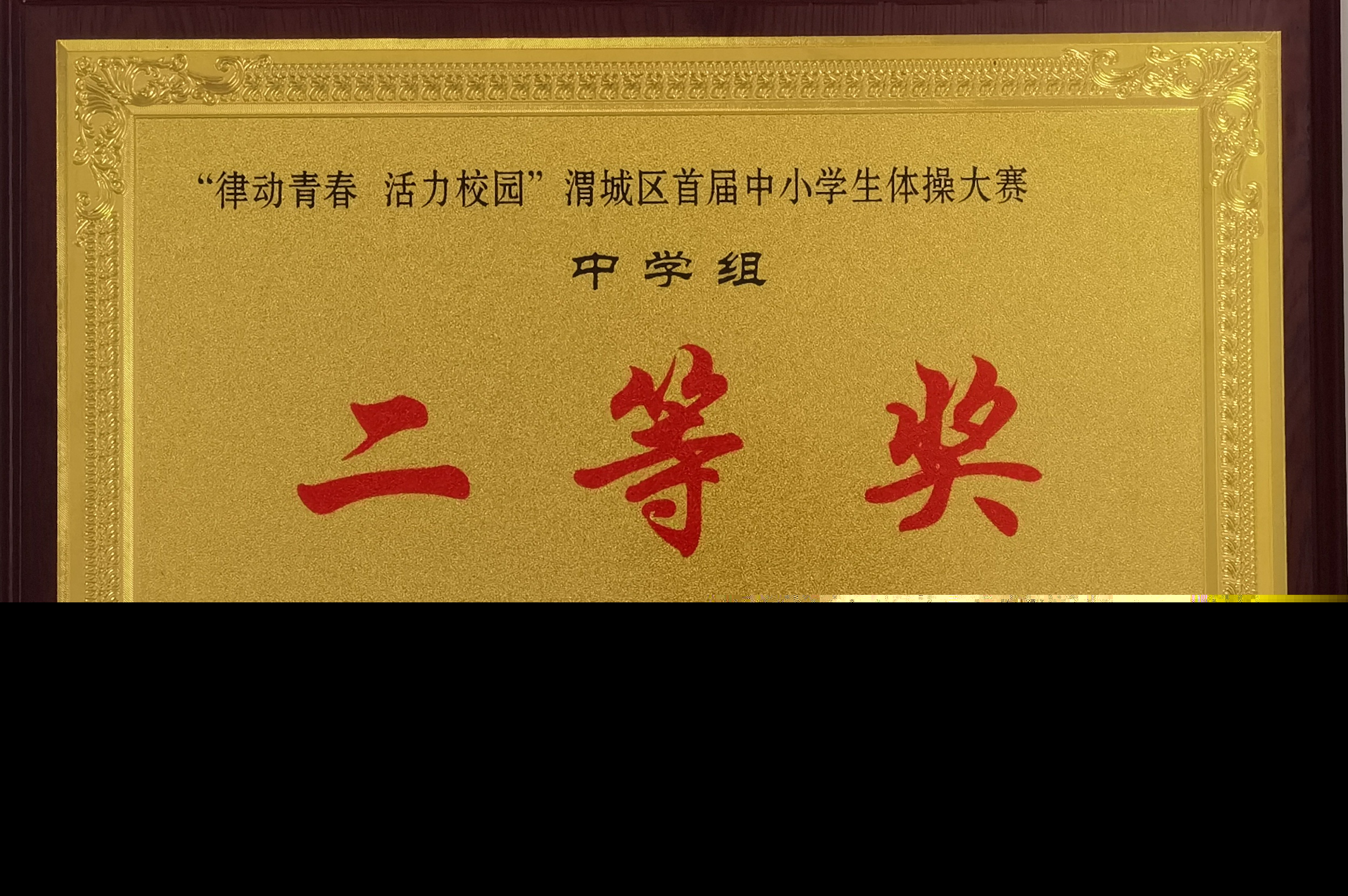 青春韻舞 綻放風采 ——咸陽渭城中學在渭城區中小學生體操大賽中斬獲佳績